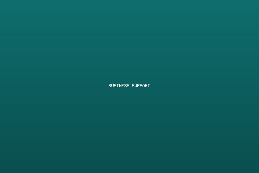 Business Support